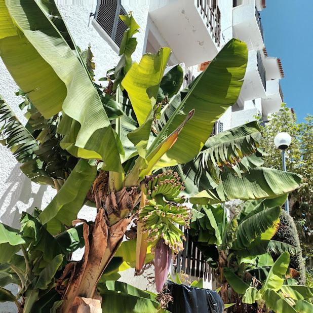 Nora Velha T1 Apartment ตาวิรา ภายนอก รูปภาพ
